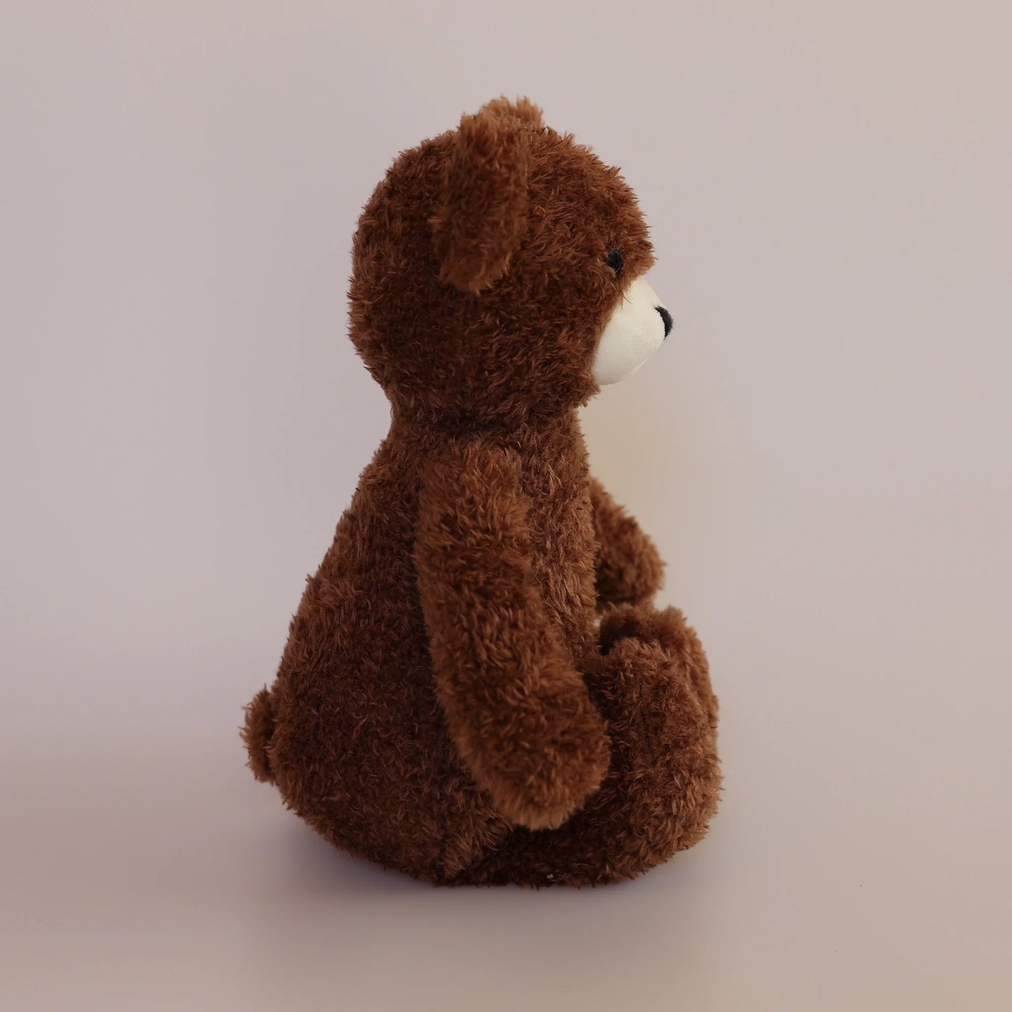 The Teddy Soft Toy