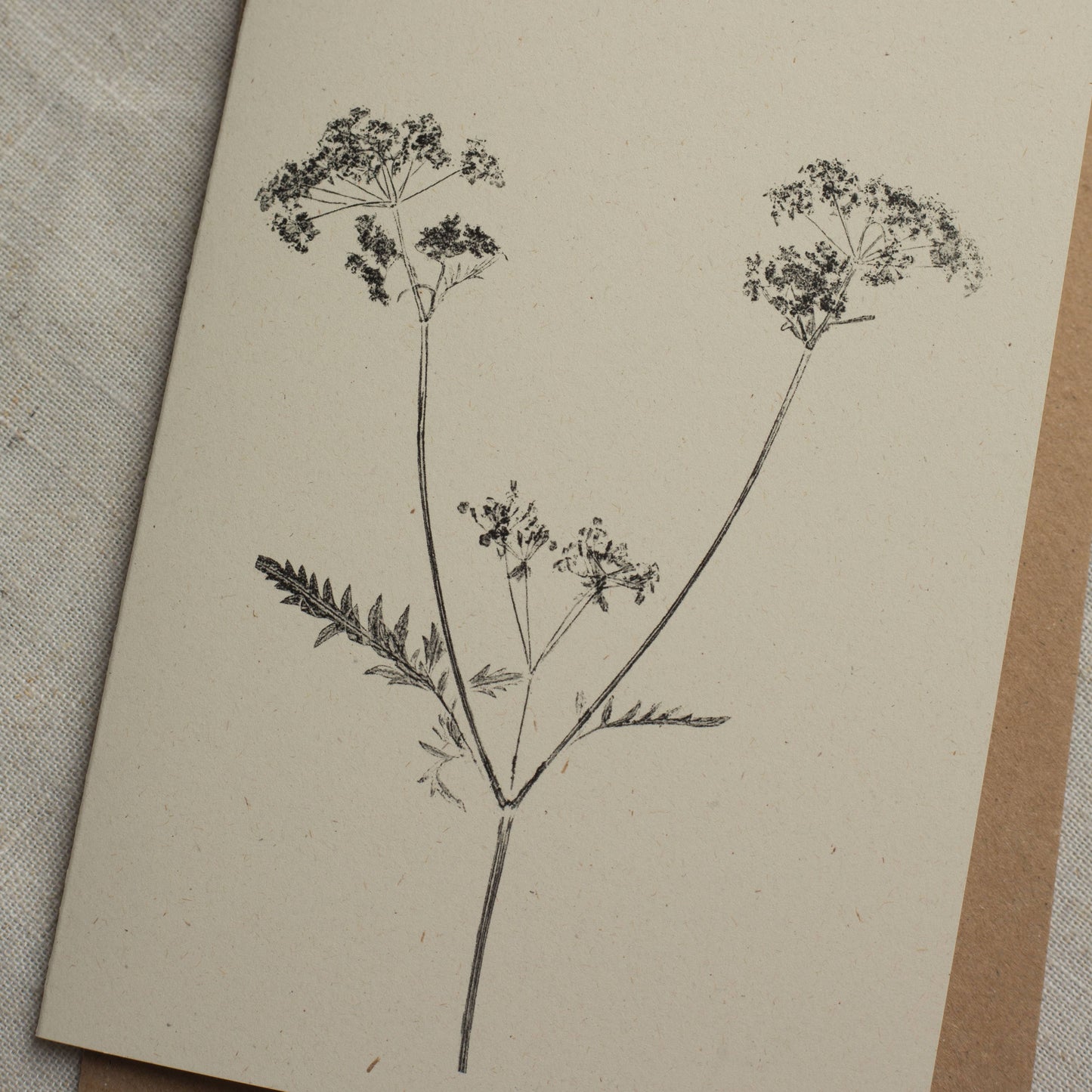 Cow Parsley Botanical Print Greeting Card A6 Recycled