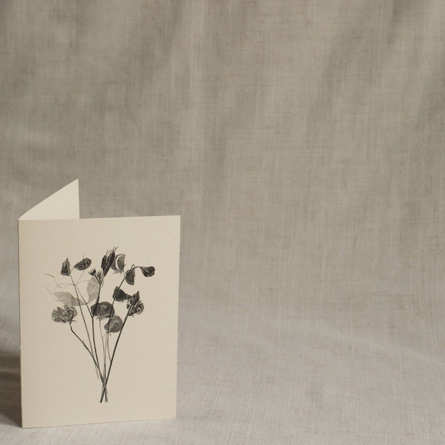 Sweet Peas Flower Greeting Card A6 Recycled Card