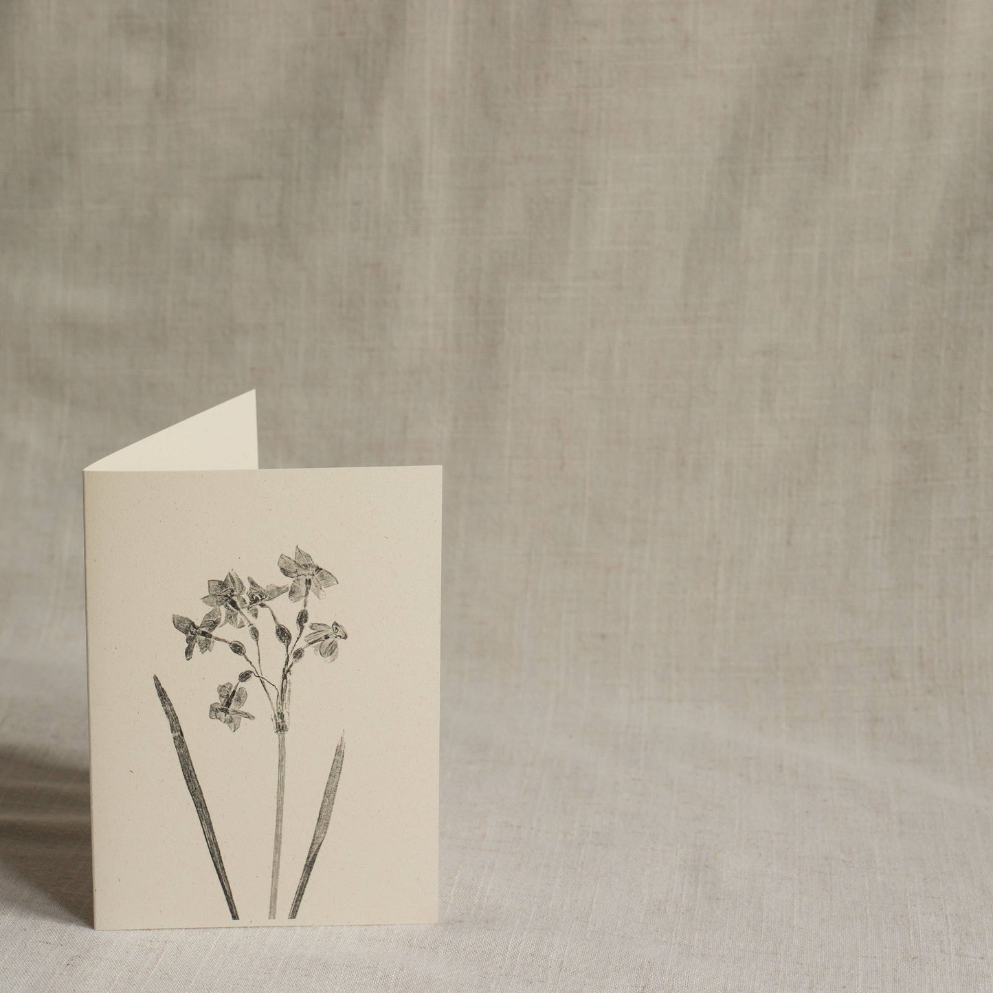 Narcissus Flower Greeting Card A6 Recycled Card