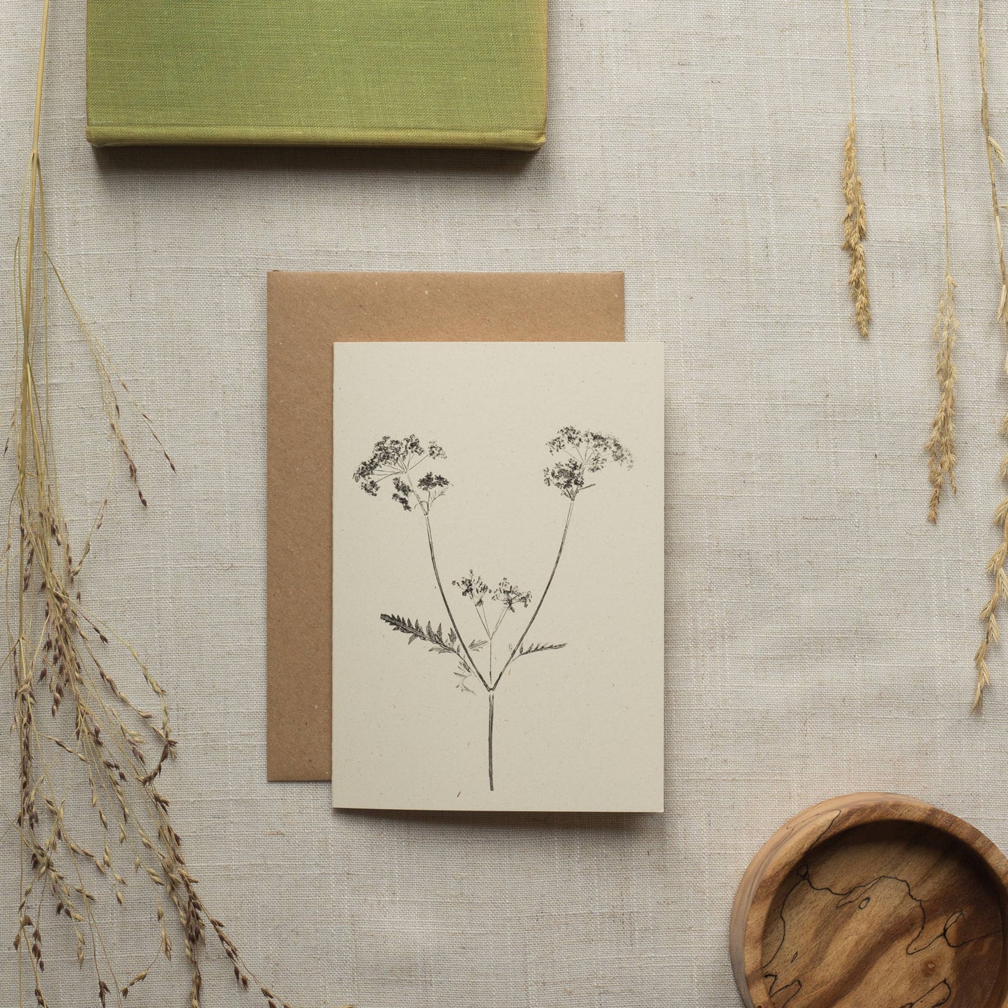 Cow Parsley Botanical Print Greeting Card A6 Recycled