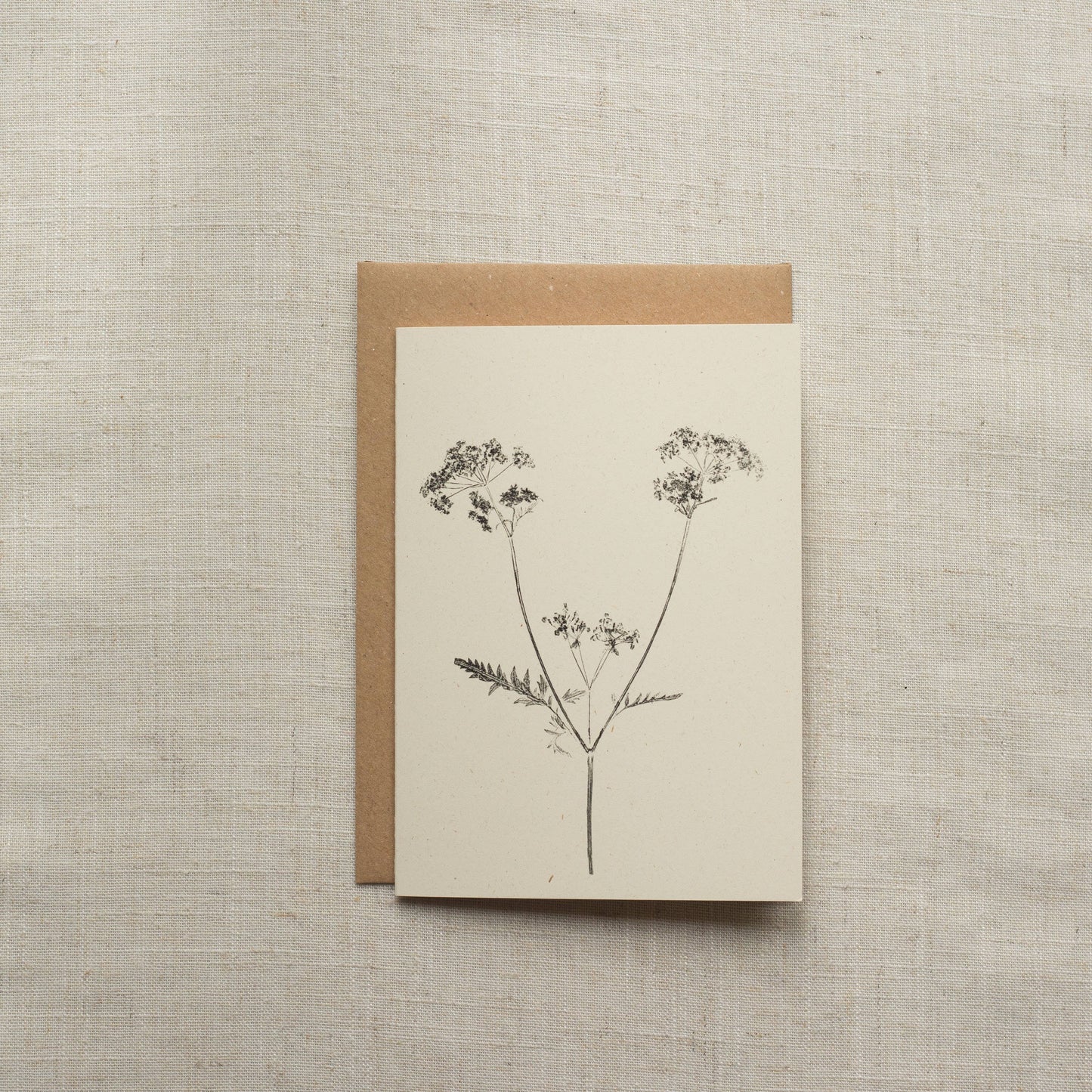 Cow Parsley Botanical Print Greeting Card A6 Recycled