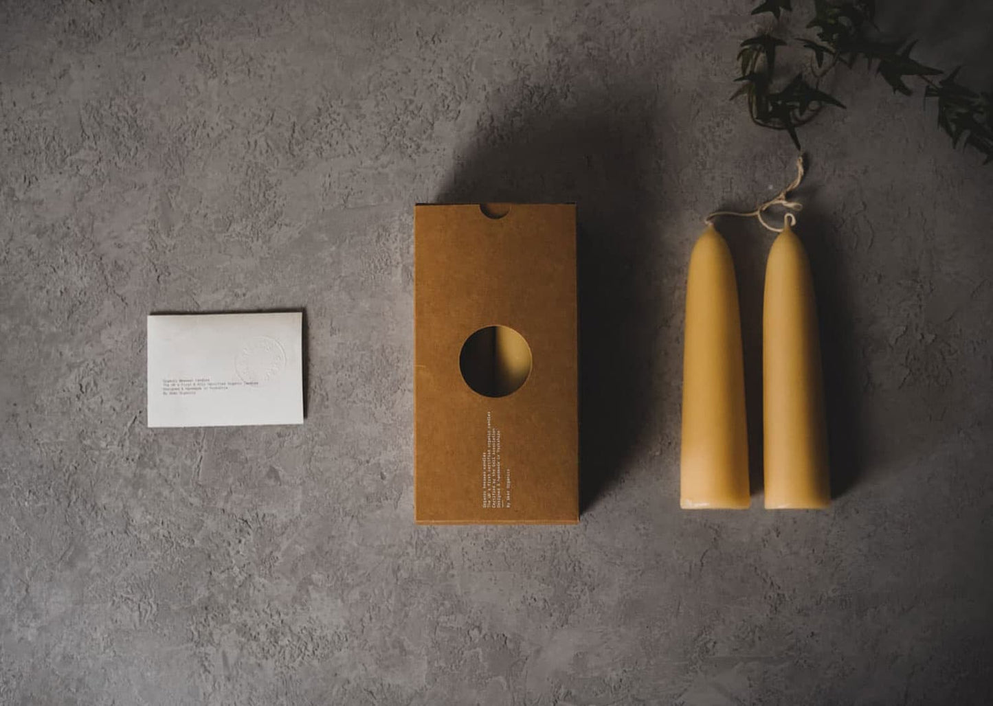 Set of 2 | Organic Beeswax Self-Standing Stubby Candles