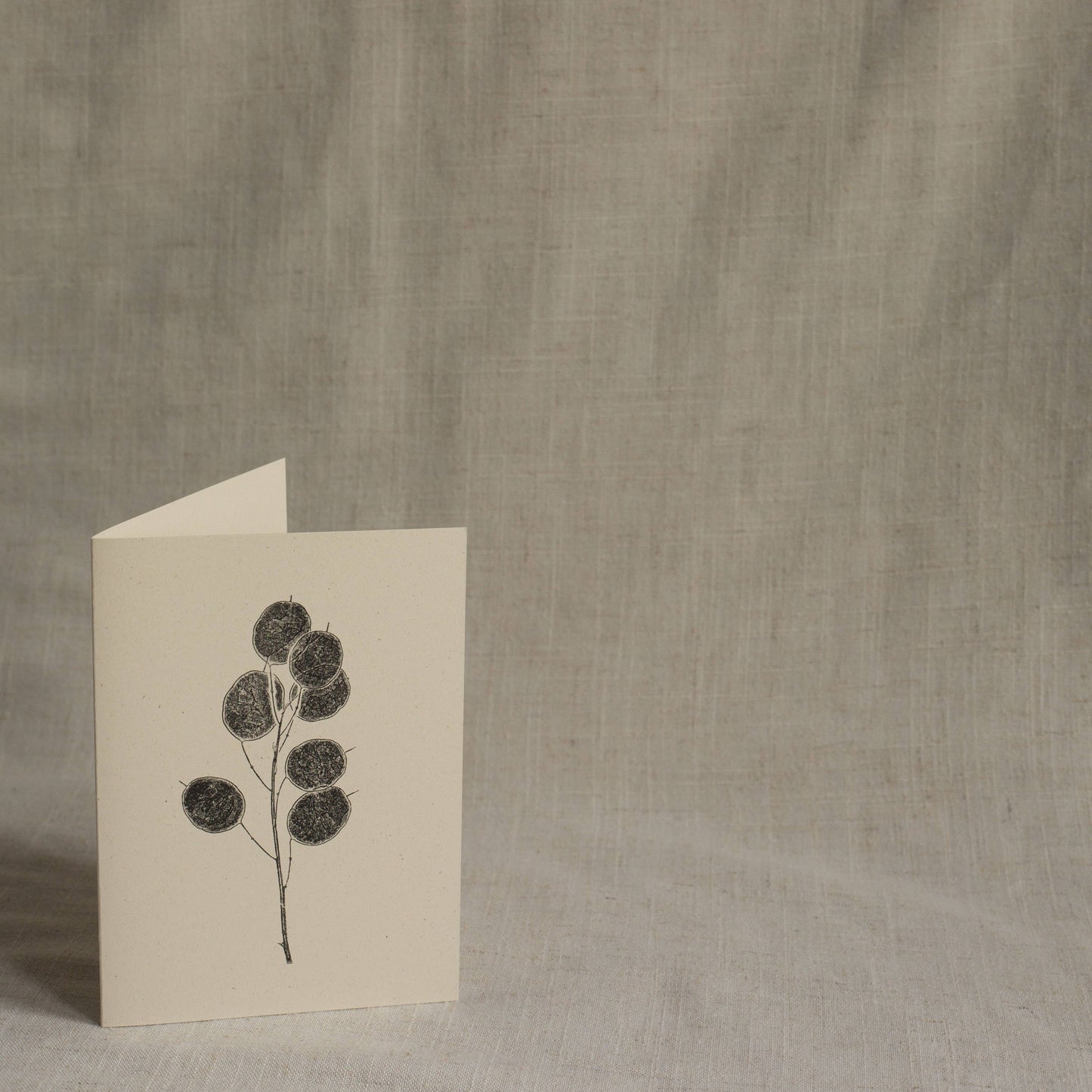 Honesty Pods Floral Greeting Card A6 Recycled Card
