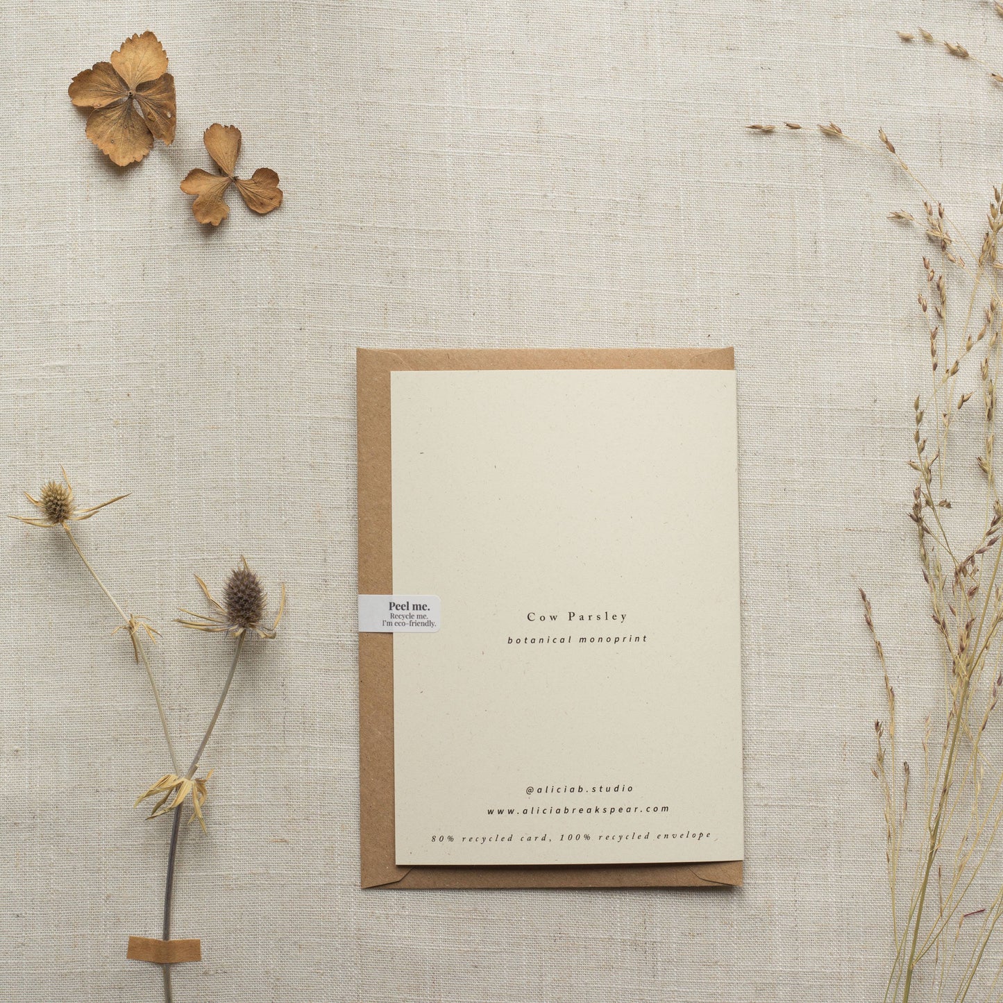 Cow Parsley Botanical Print Greeting Card A6 Recycled