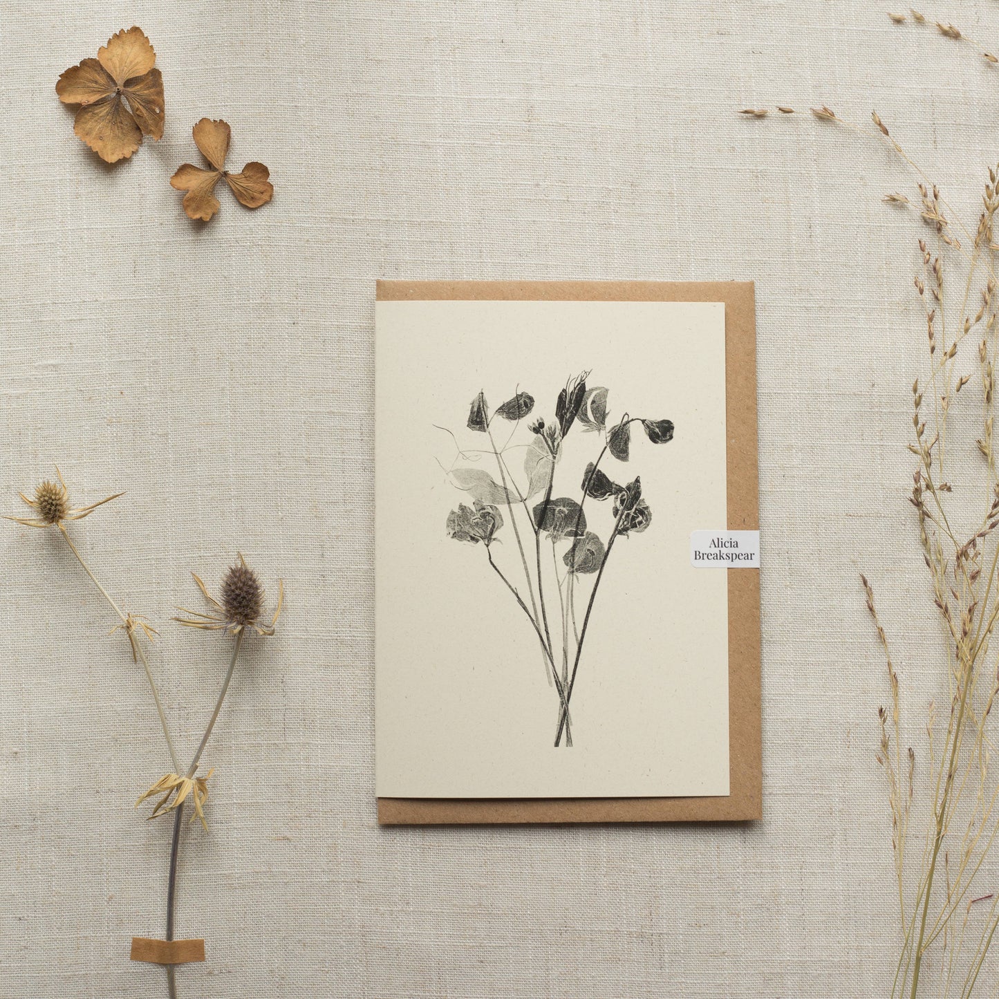 Sweet Peas Flower Greeting Card A6 Recycled Card