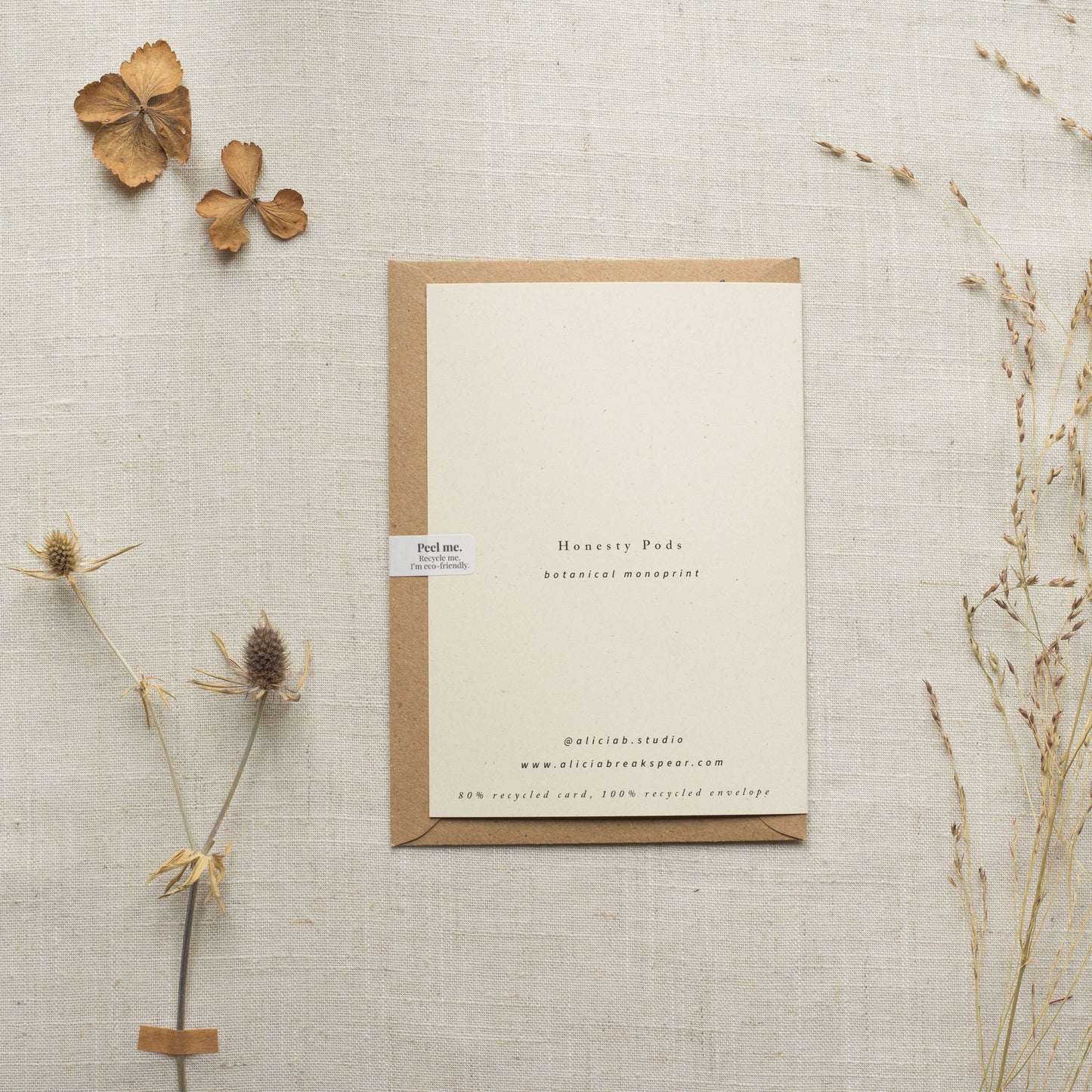 Honesty Pods Floral Greeting Card A6 Recycled Card