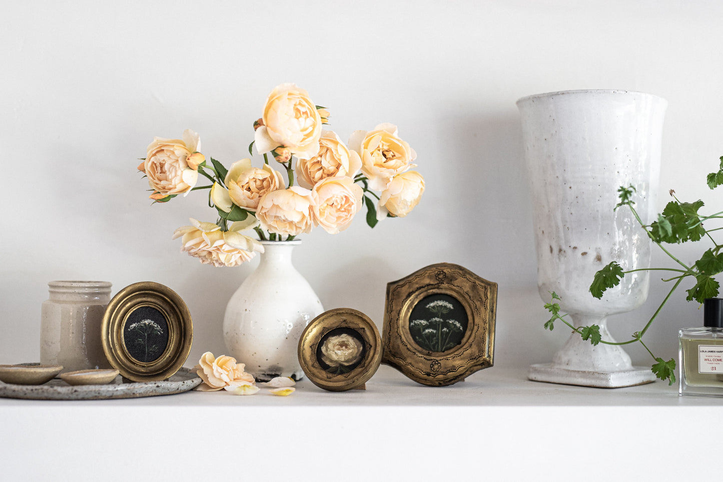 Special Edition N.6 Petite Artwork 'The Wild Garden'