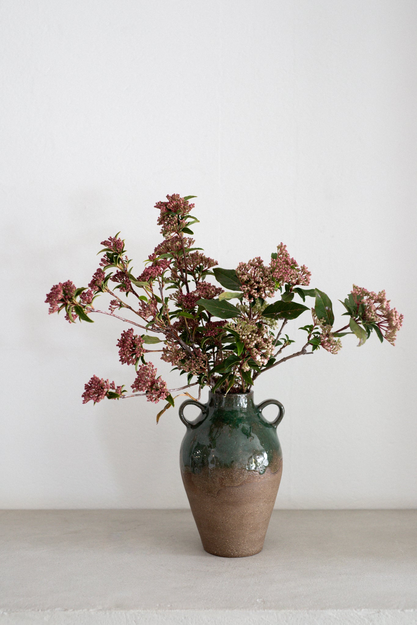 Ceramic Clay Vase with Olive Glaze | N.5