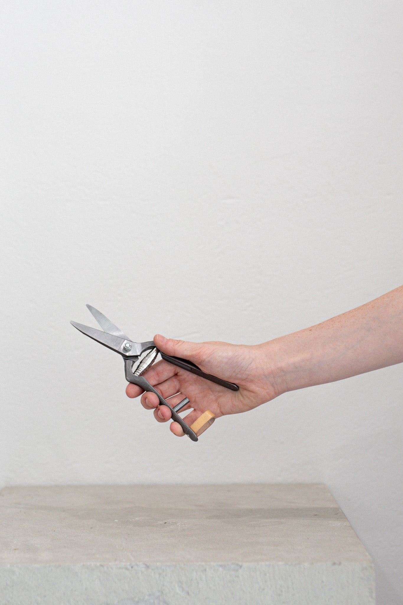 Pallares x Audo Plant Shears