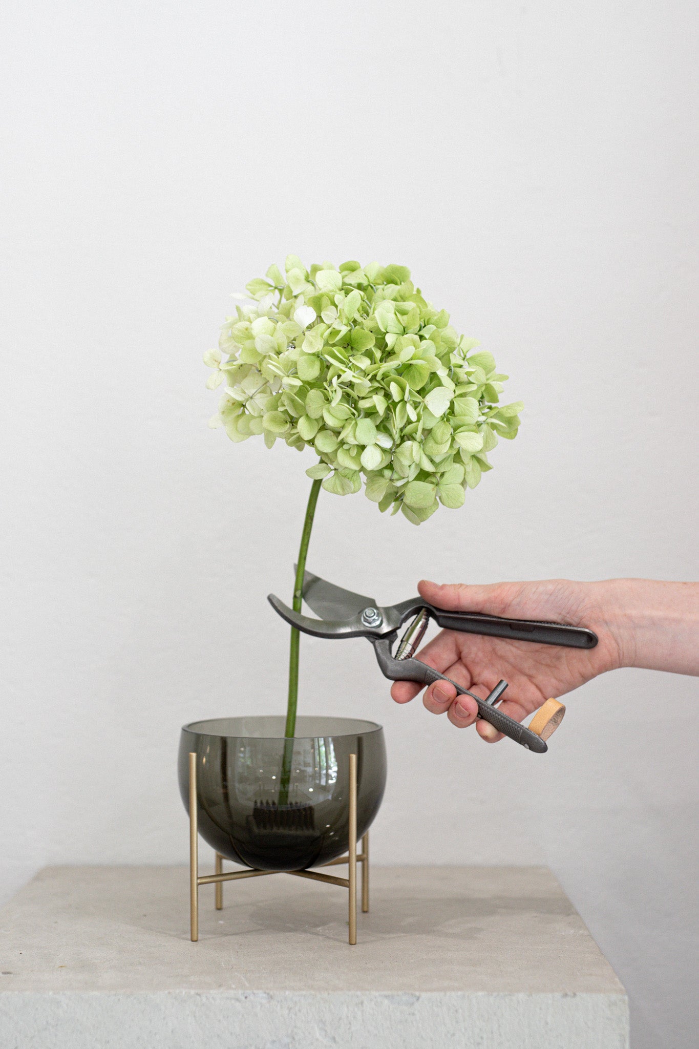 Pallares x Audo Plant Pruner