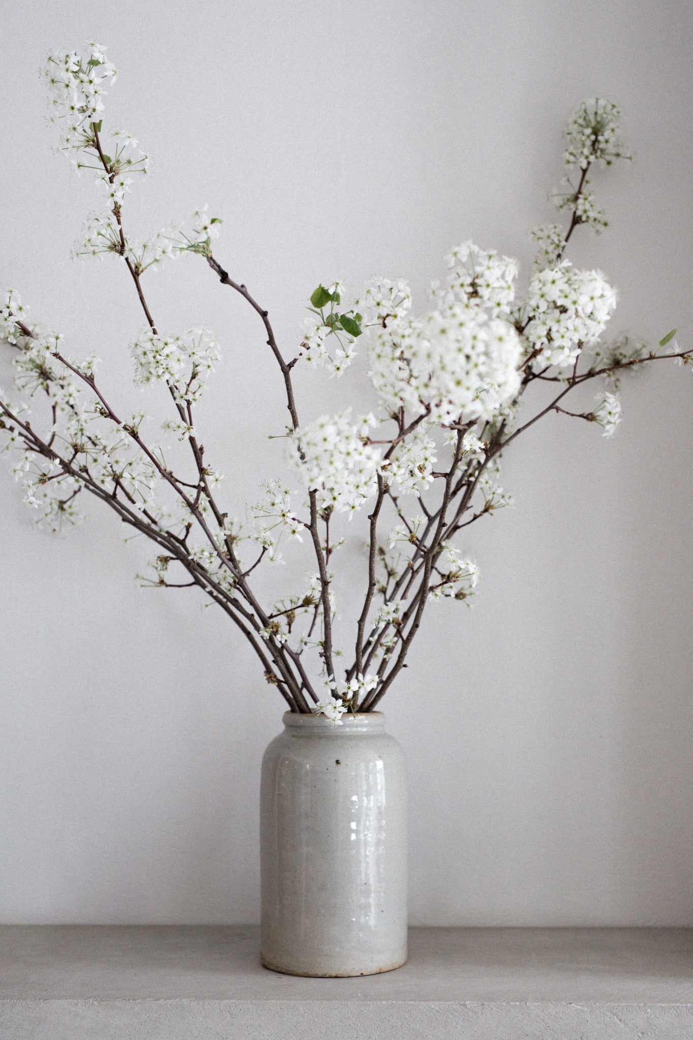 Antique French Stoneware Vase | N.3
