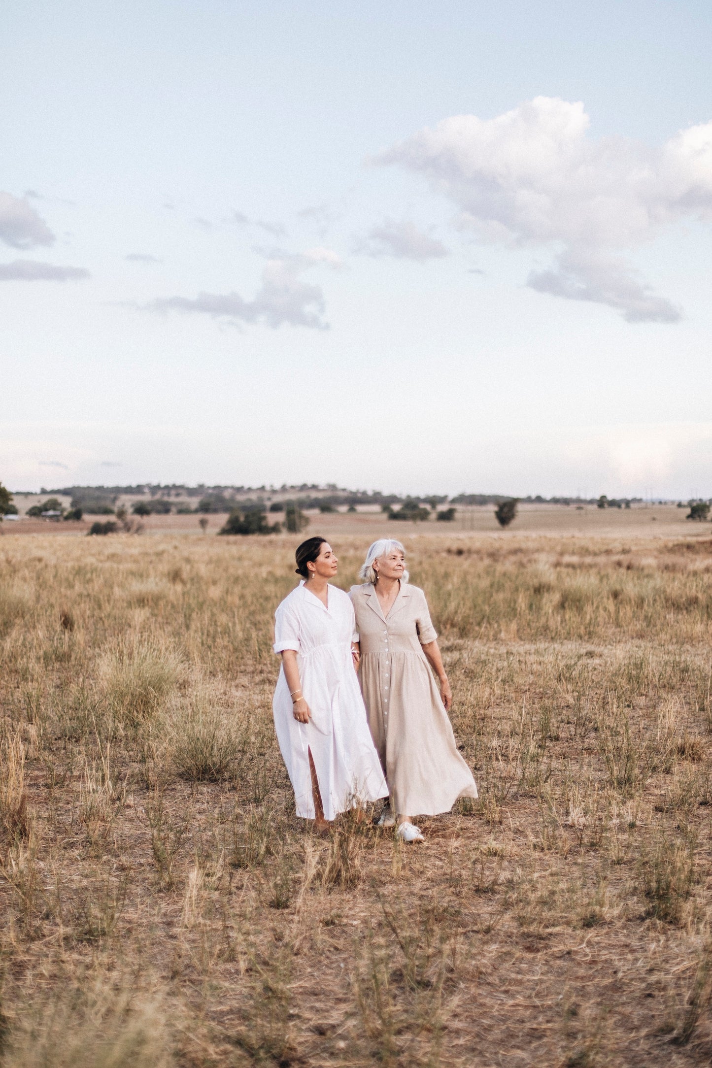 The Signature Poplin Dress