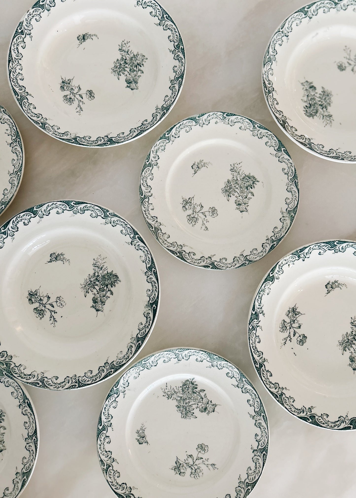 Antique French Dinner Plates