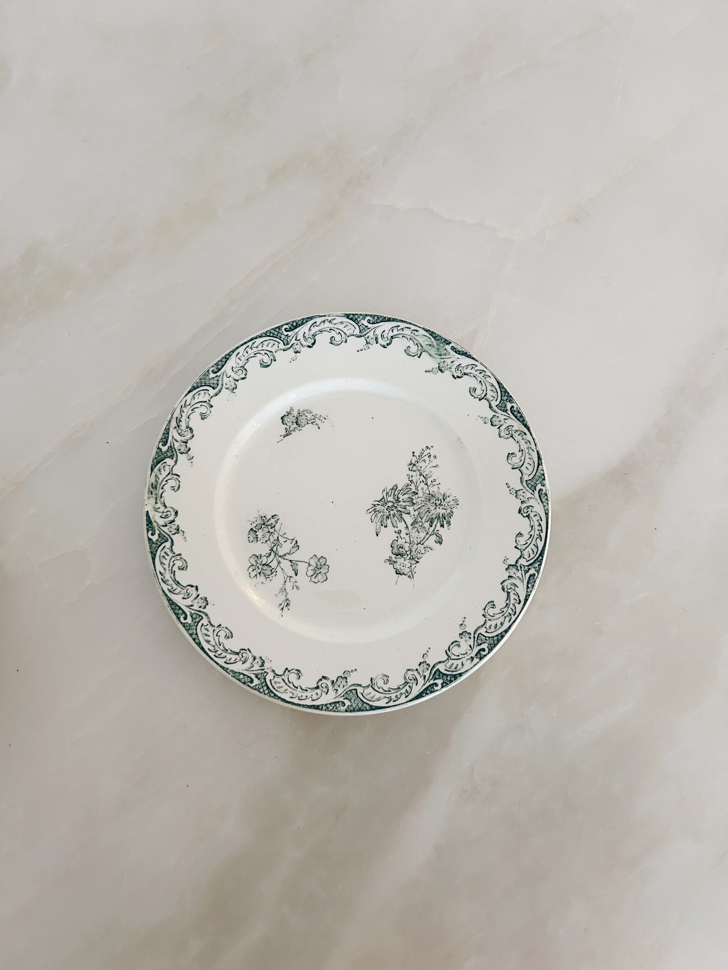 Antique French Dinner Plates