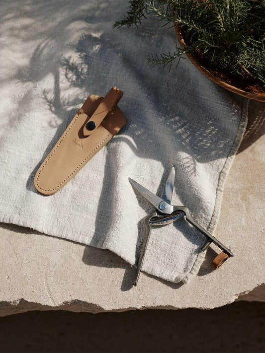 Pallares x Audo Plant Shears