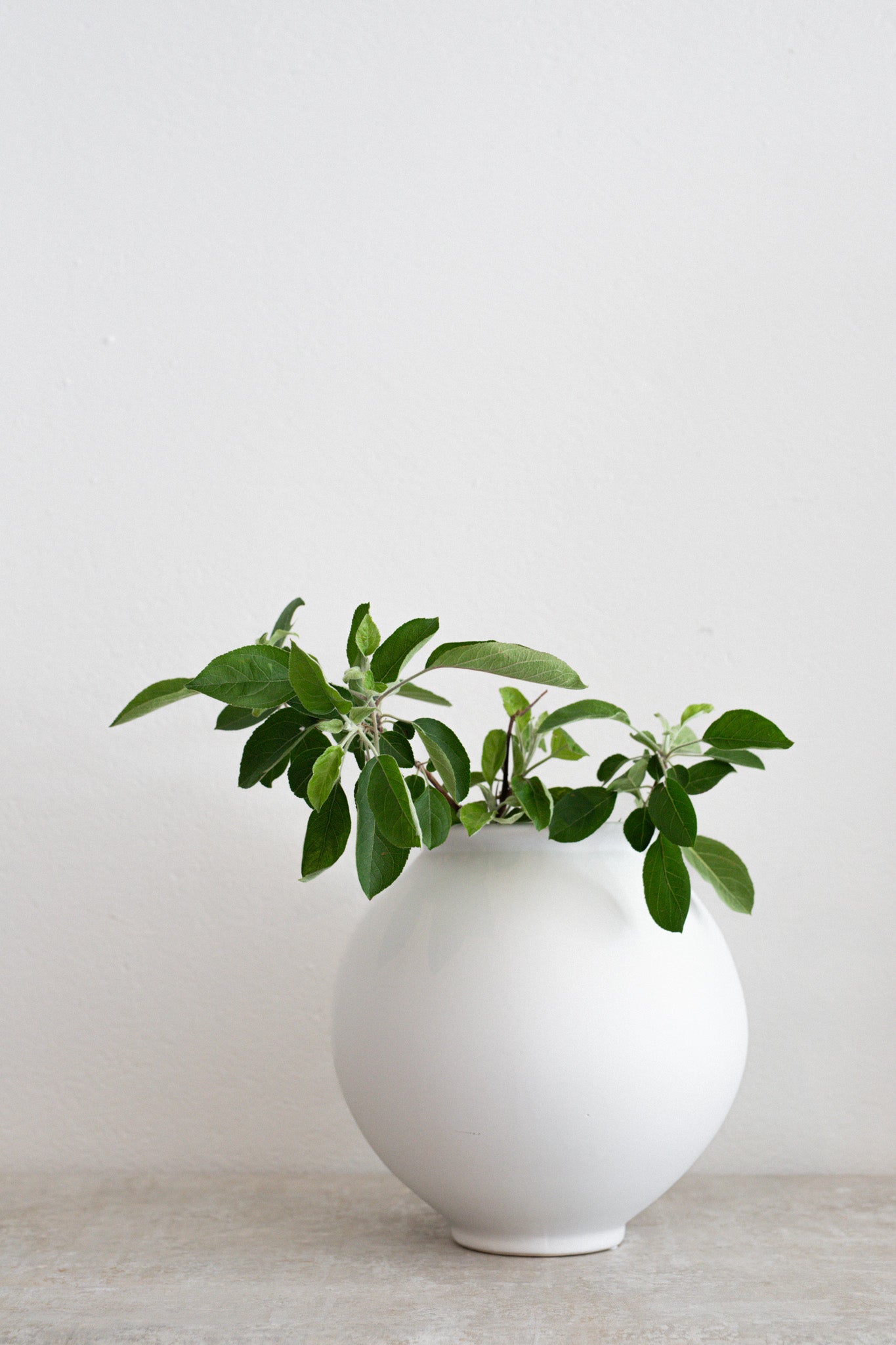 Round Vase in White