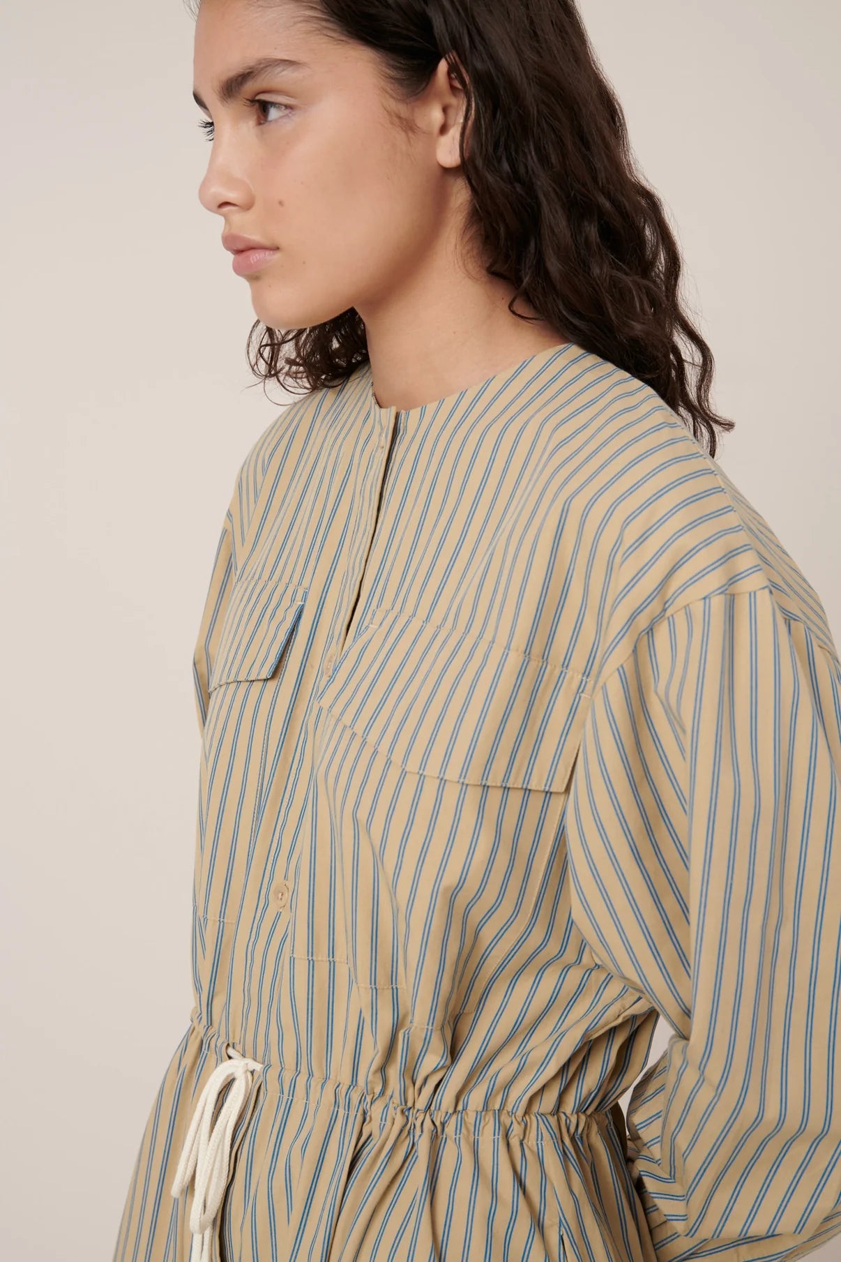 The Array Dress in Double Pinstripe