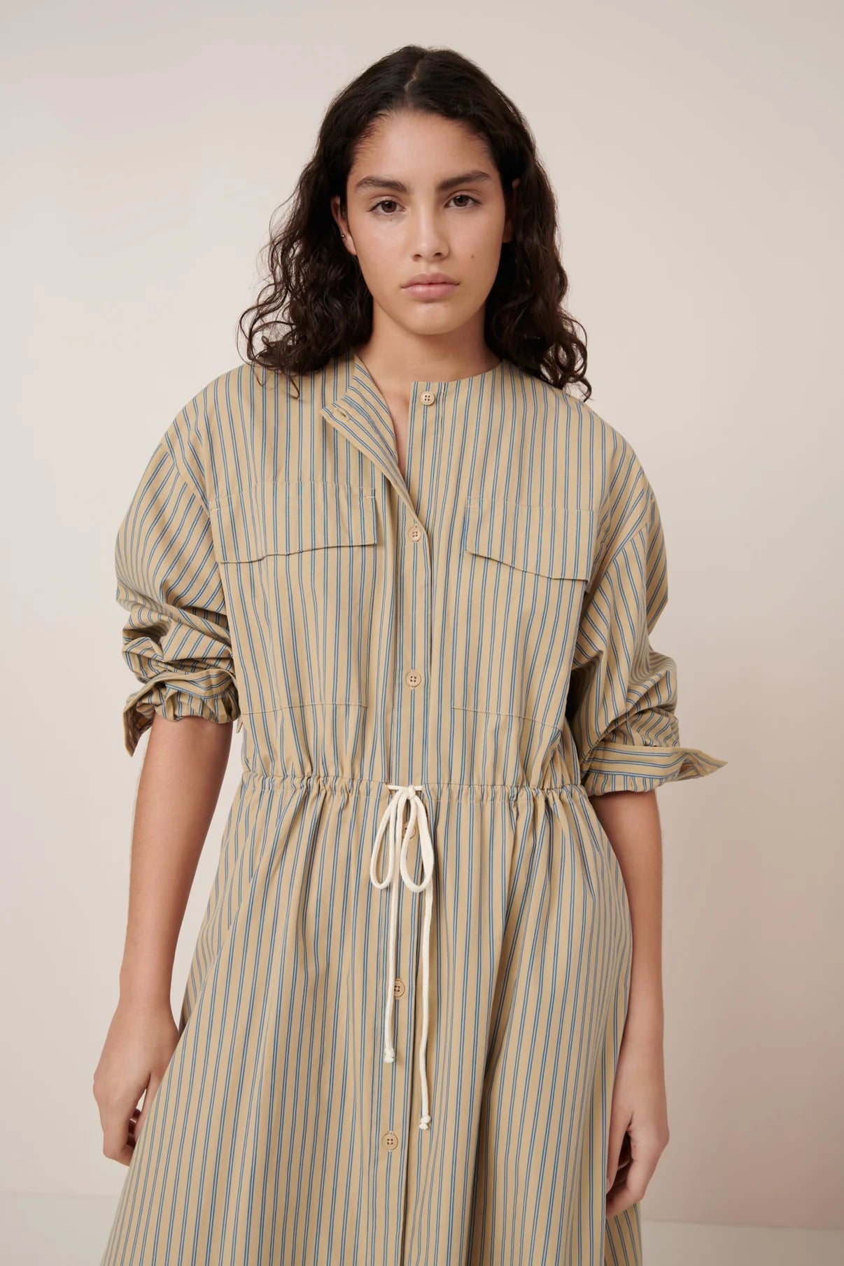 The Array Dress in Double Pinstripe