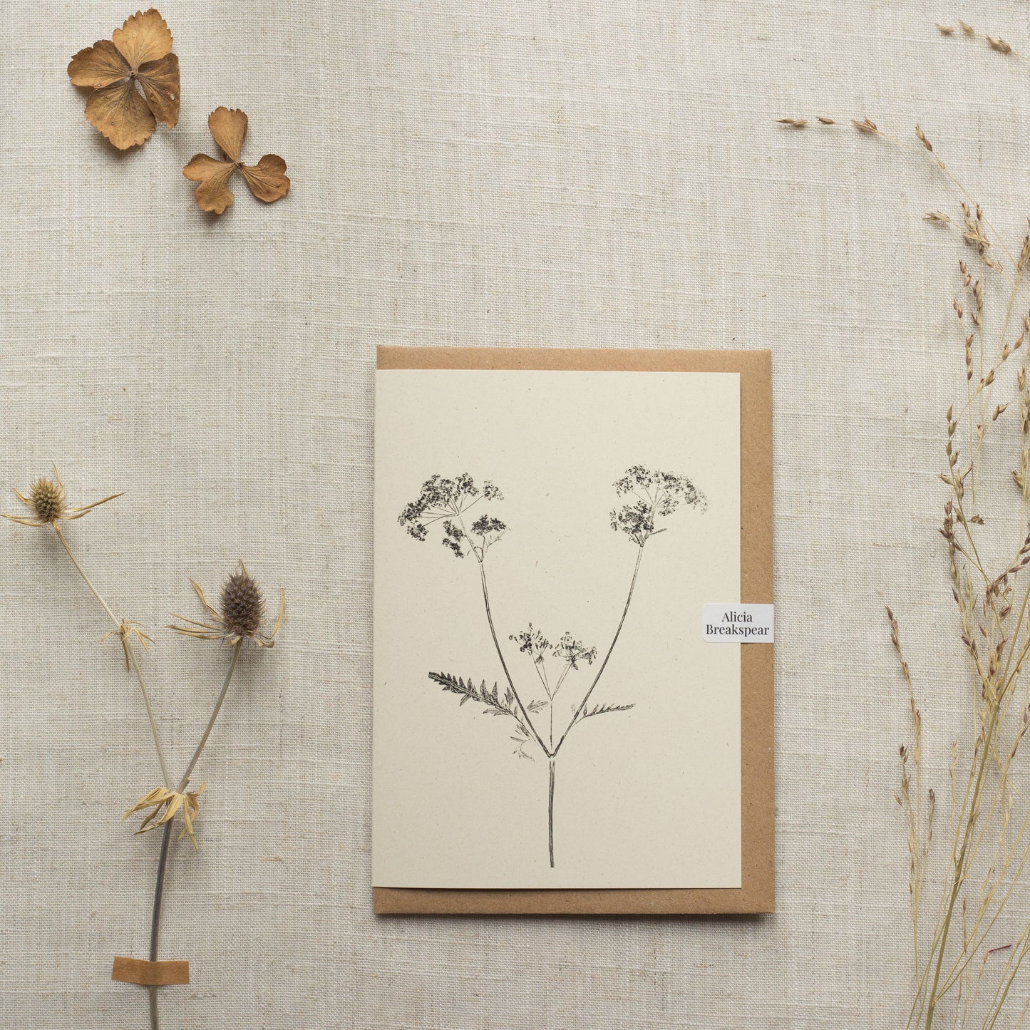 Cow Parsley Botanical Print Greeting Card A6 Recycled