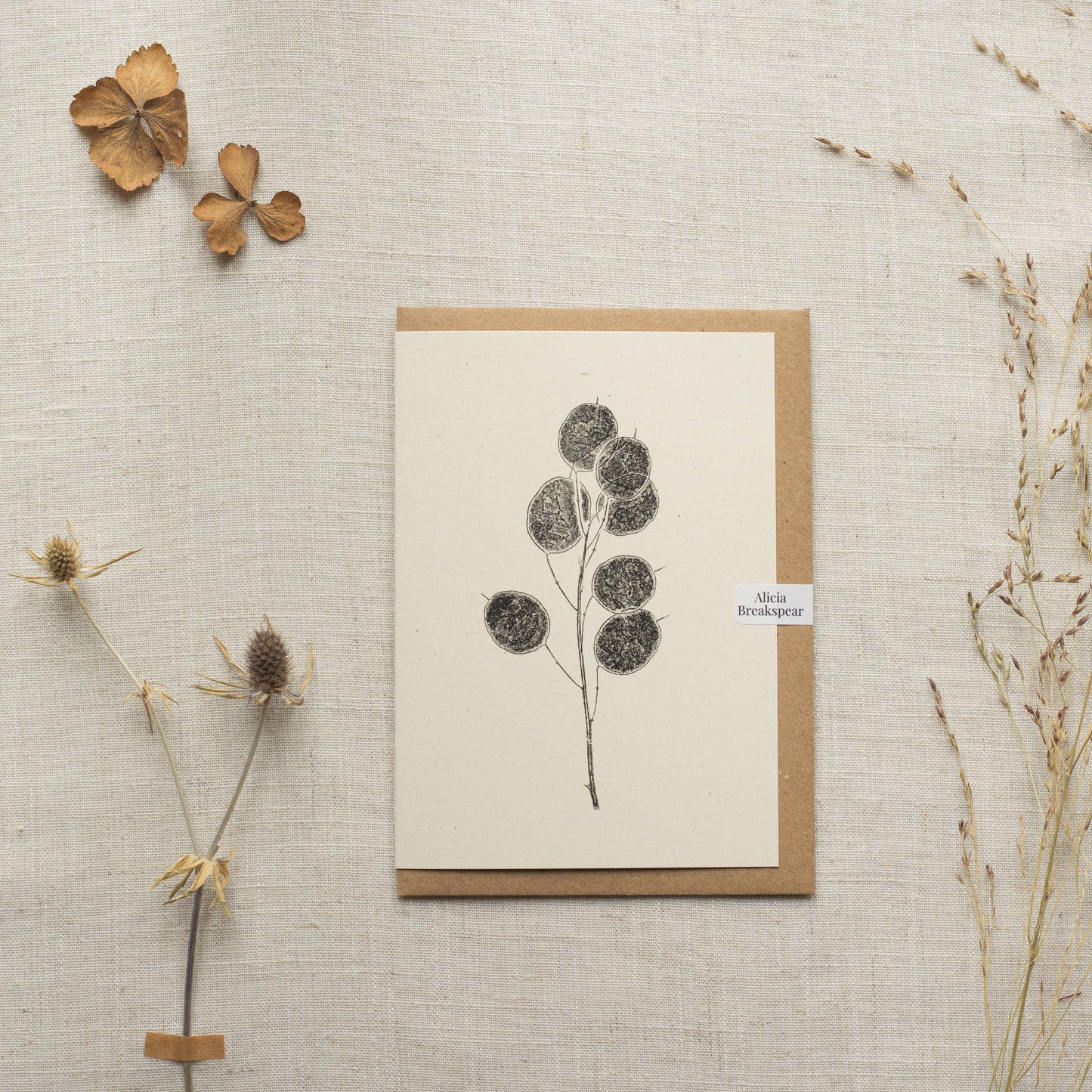 Honesty Pods Floral Greeting Card A6 Recycled Card
