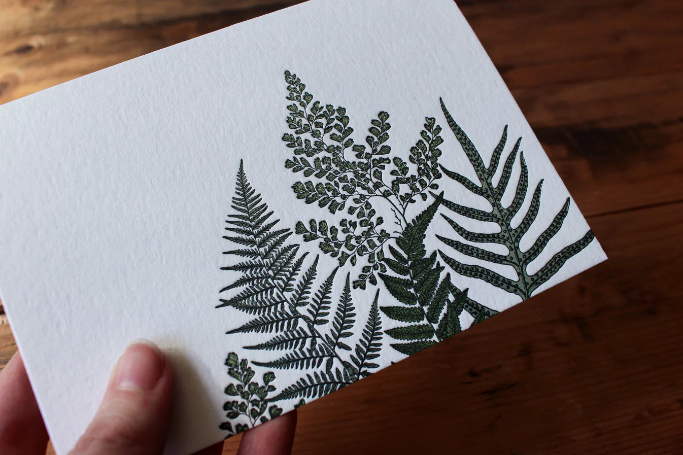 'Ferns' Letterpress Card