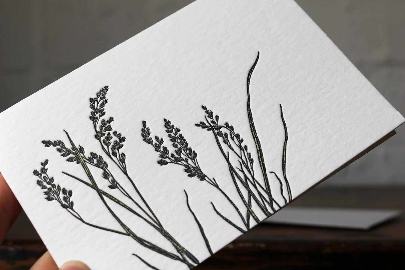 Flora N. 2 Letterpress Notecard