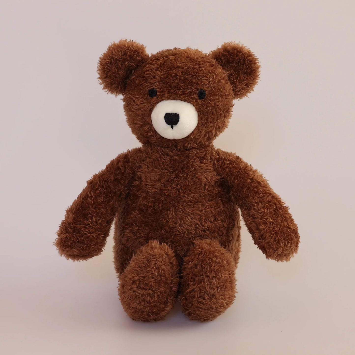 The Teddy Soft Toy