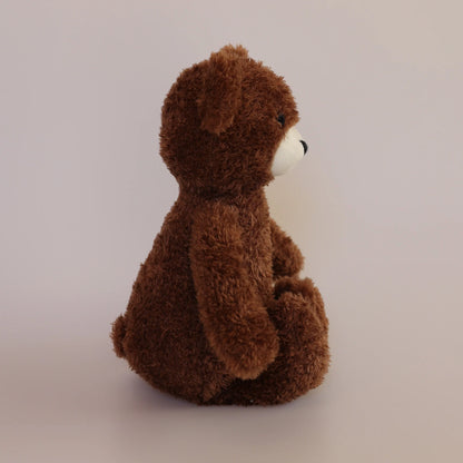 The Teddy Soft Toy