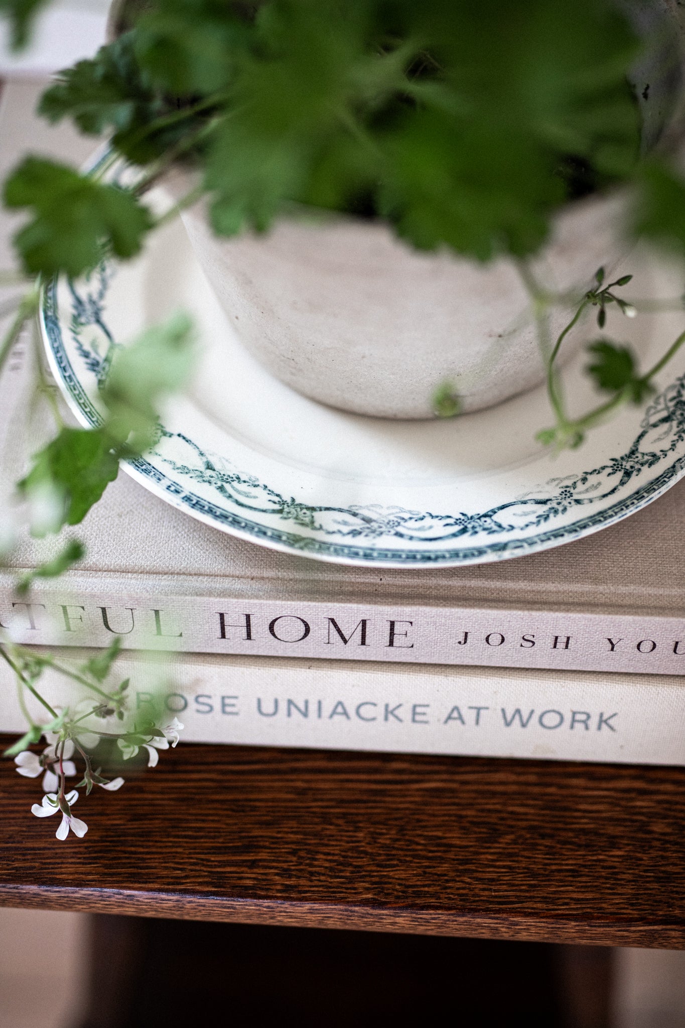 Antique French Dinner Plates | Ribbons & Roses