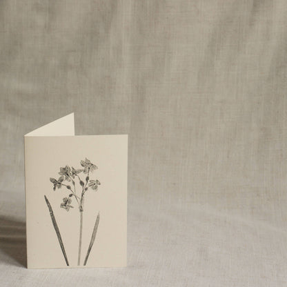 Narcissus Flower Greeting Card A6 Recycled Card 