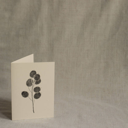 Honesty Pods Floral Greeting Card A6 Recycled Card 