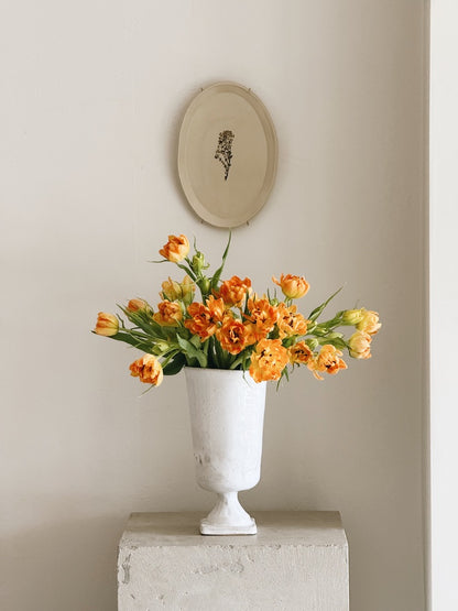 The 'ROME' Vessel | Tall special edition