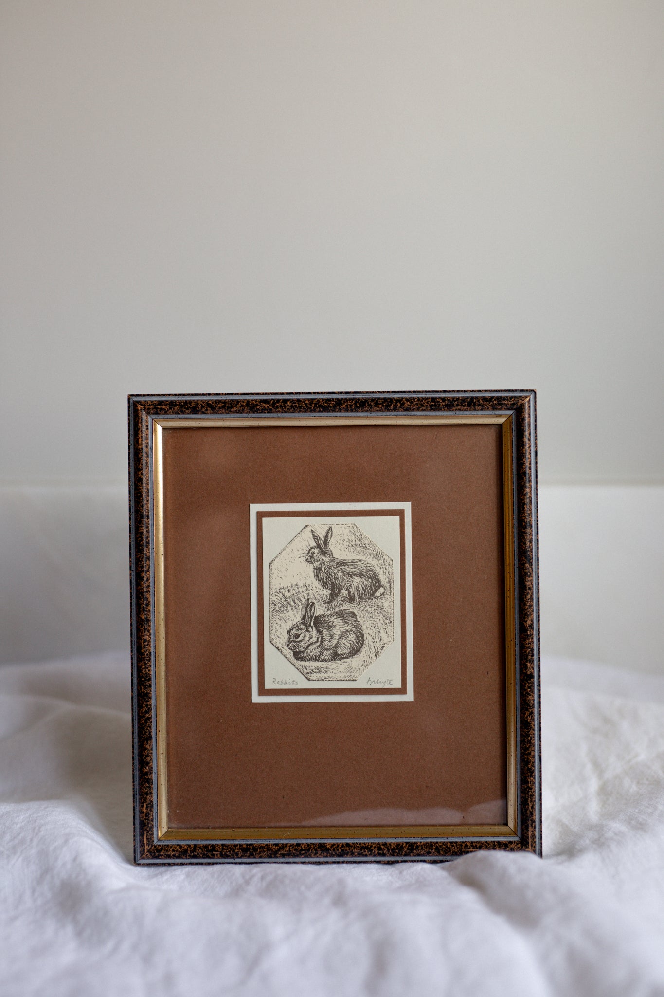 Antique European Illustration | Framed