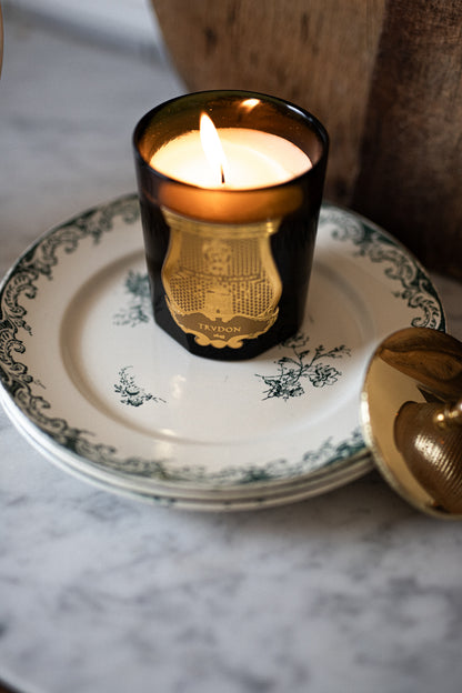 Antique French Dinner Plates