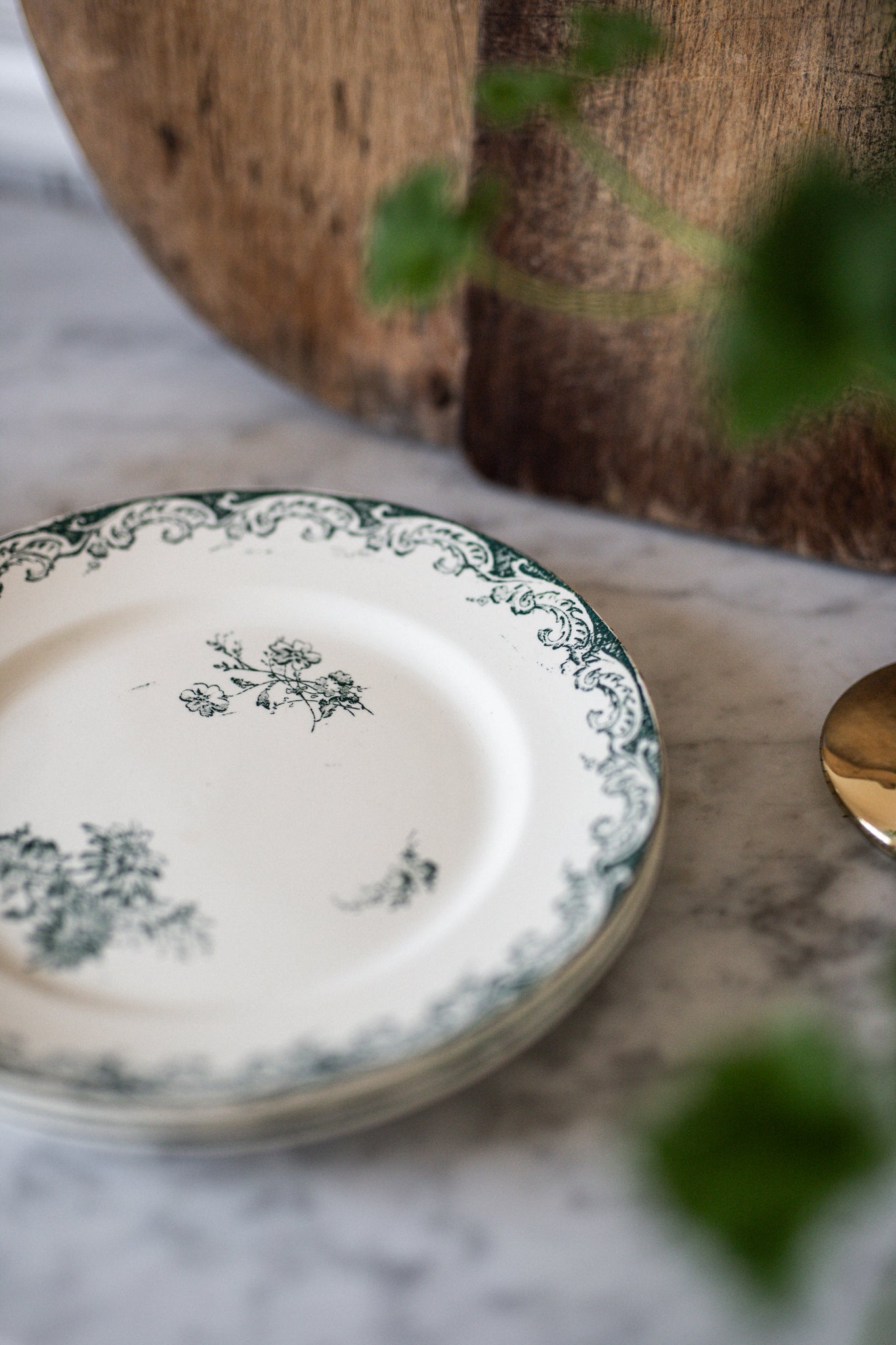 Antique French Dinner Plates