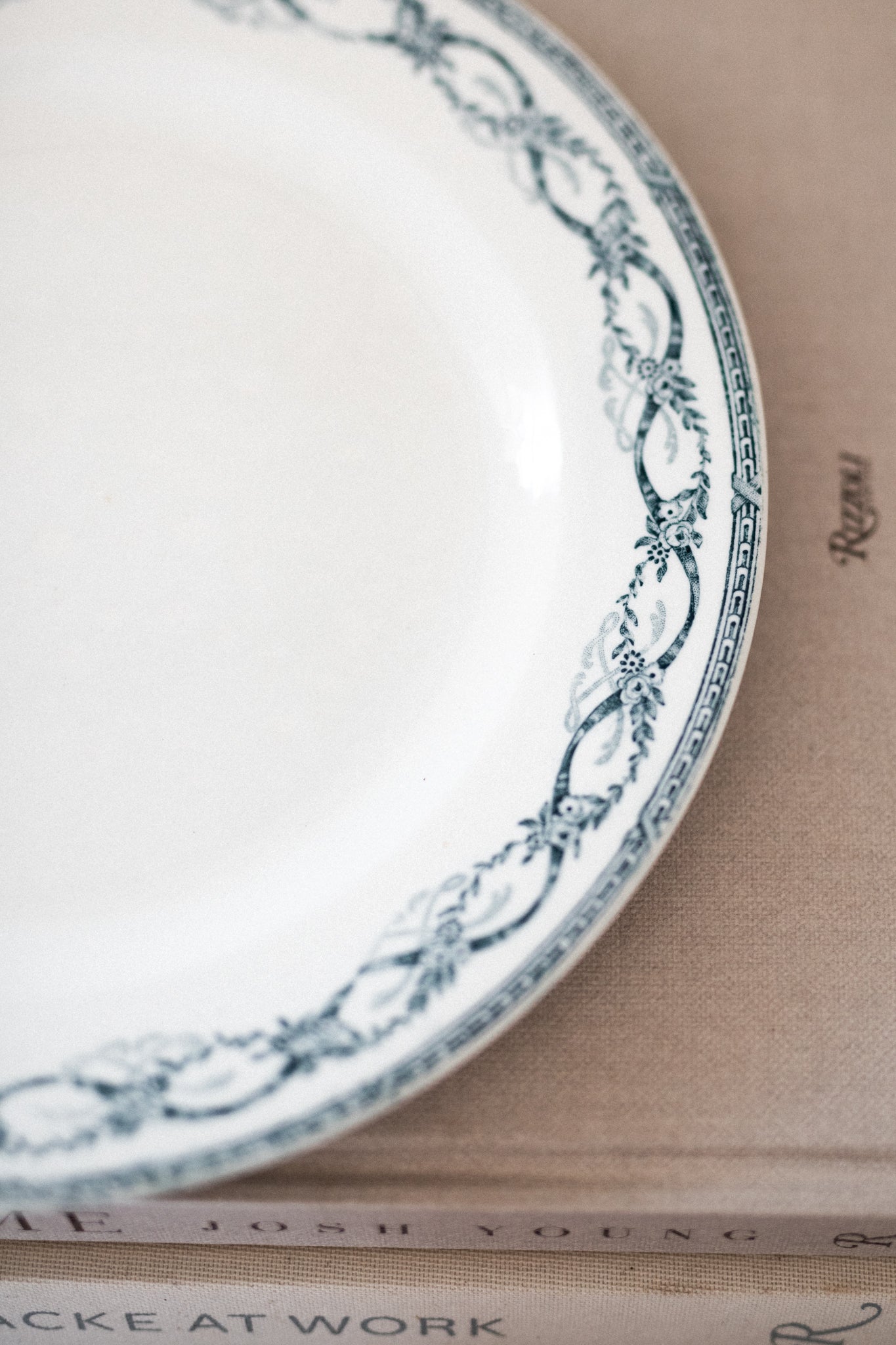 Antique French Dinner Plates | Ribbons & Roses