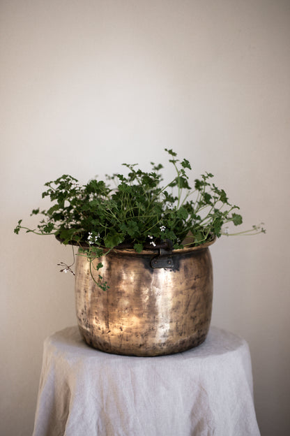 A Stunning Antique Large Brass Pot with handle
