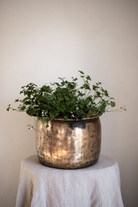 A Stunning Antique Large Brass Pot with handle