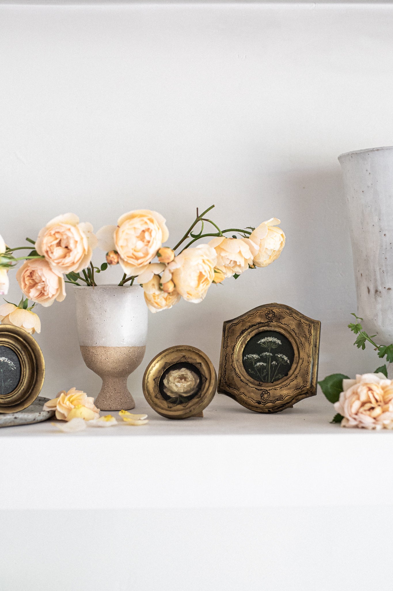 Special Edition N.6 Petite Artwork 'The Wild Garden'