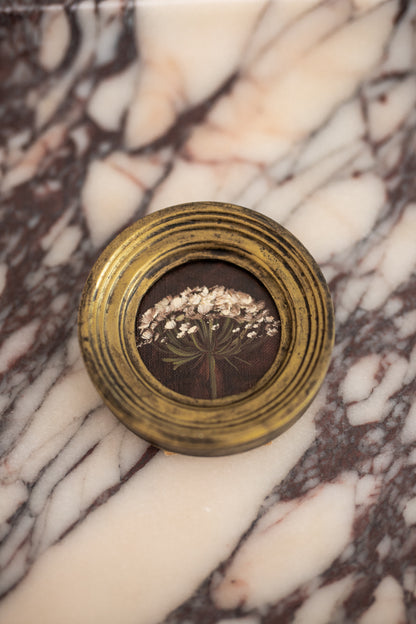 Special Edition N.9 Petite Artwork 'The Wild Fennel'