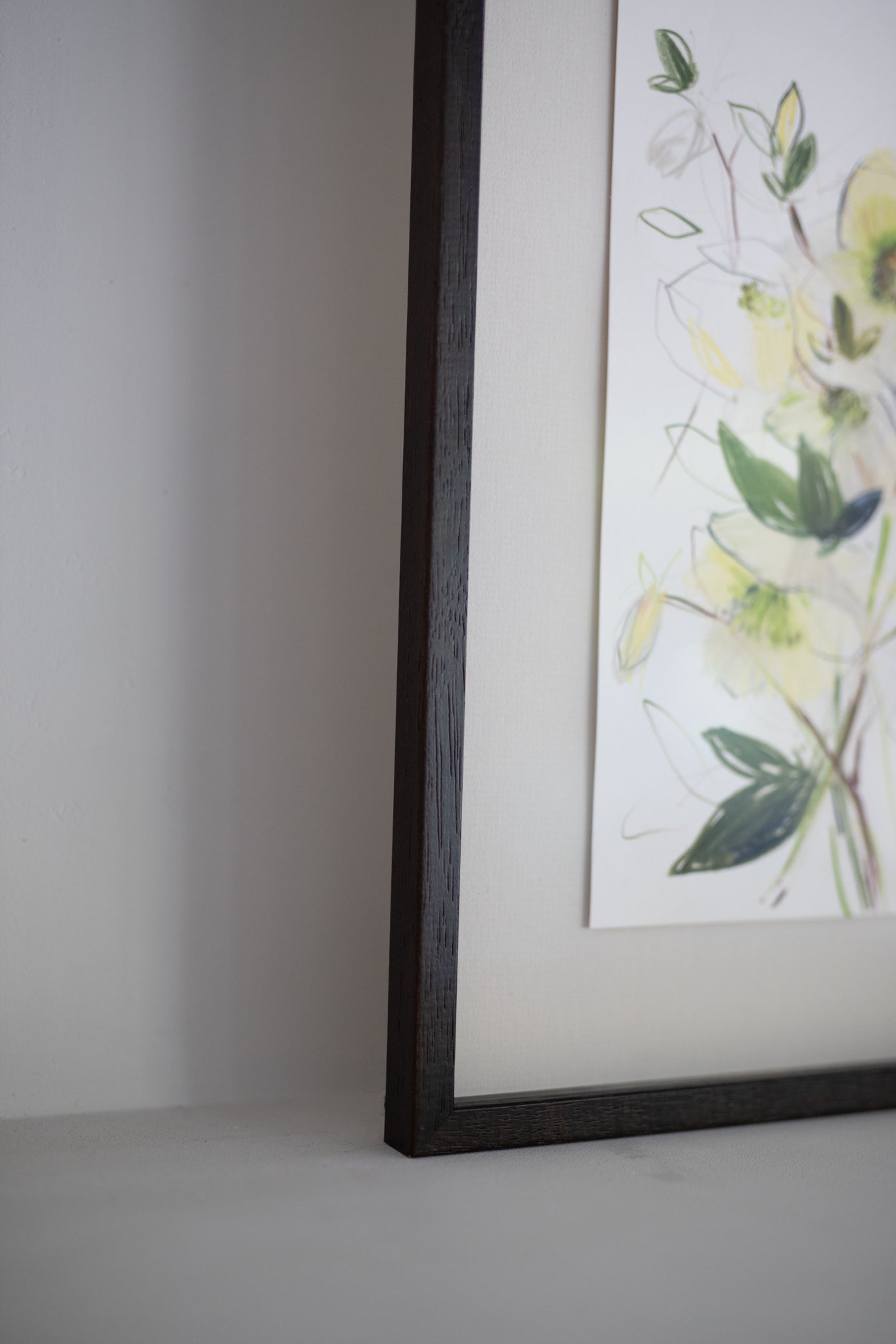 An Original Sketch of English Hellebores