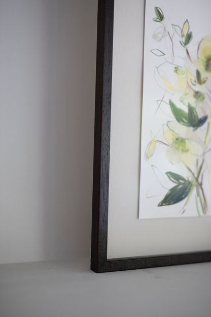 An Original Sketch of English Hellebores