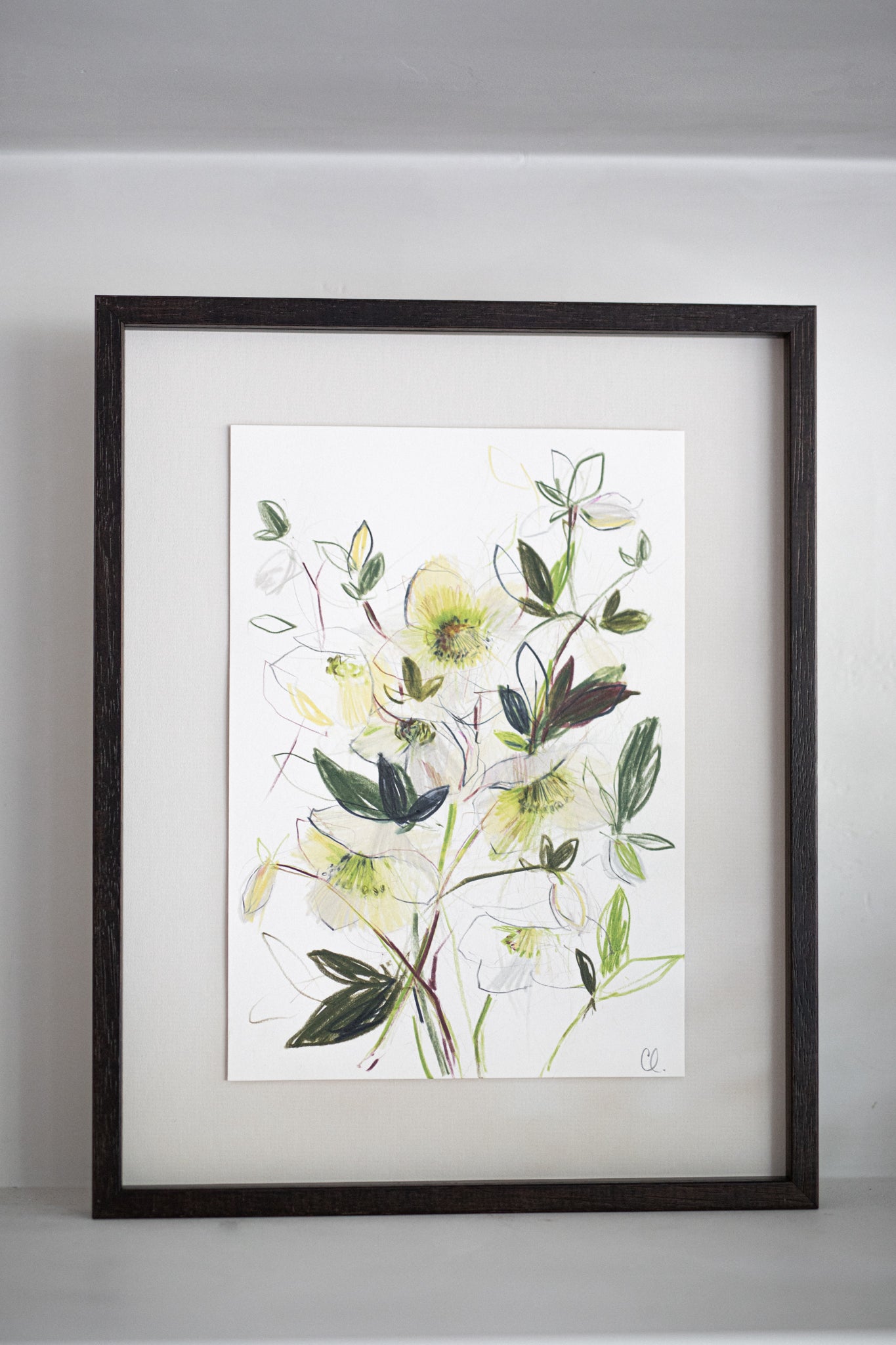 An Original Sketch of English Hellebores