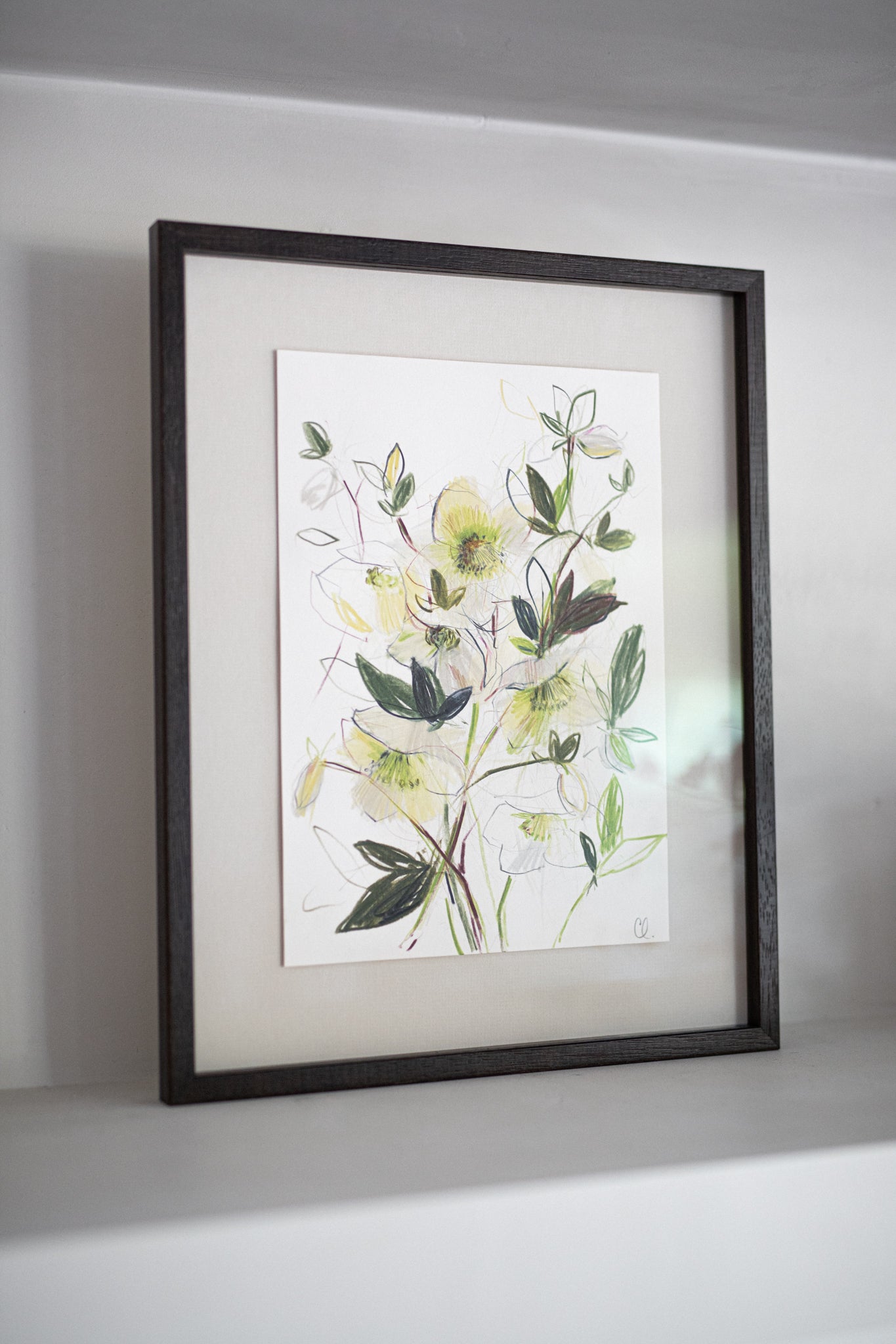 An Original Sketch of English Hellebores