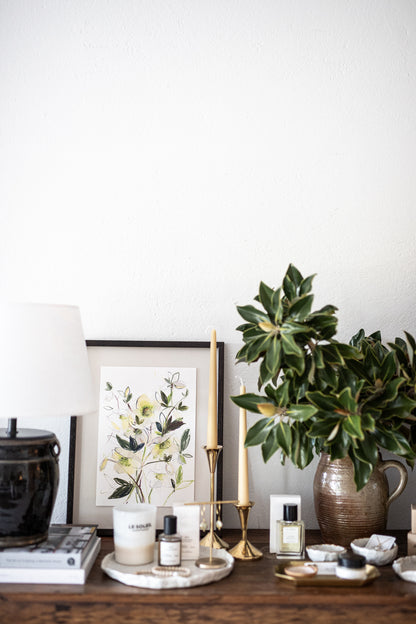 An Original Sketch of English Hellebores