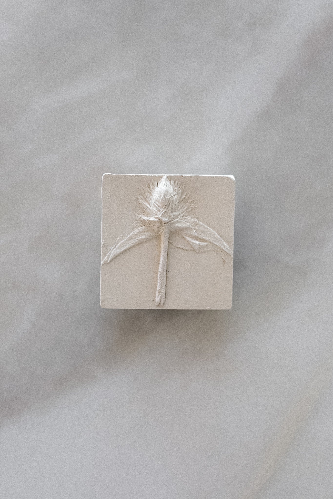 Small Floral Plaster N.3