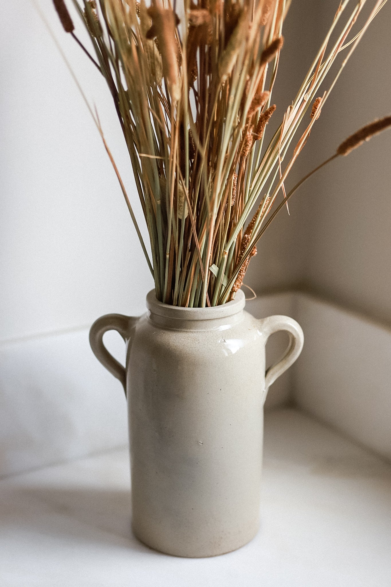 Antique European Confit Pot with handles
