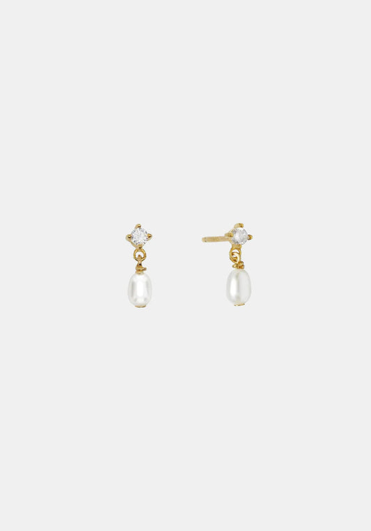 Aspen Mini Drop Earrings in Gold