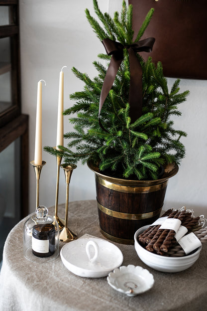 Antique Timber & Brass Bound Jardiniere